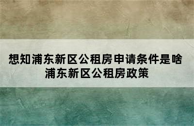 想知浦东新区公租房申请条件是啥 浦东新区公租房政策